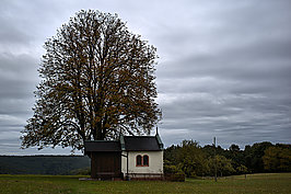 Bernhard Saalfeld - Spessart (5v9)